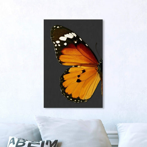 The Oliver Gal Artist Co. Animals Wall Art Canvas Prints 'Monarch and Gray Bu...