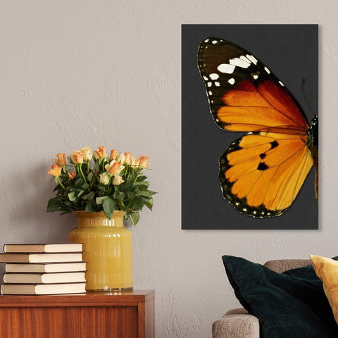 The Oliver Gal Artist Co. Animals Wall Art Canvas Prints 'Monarch and Gray Bu...