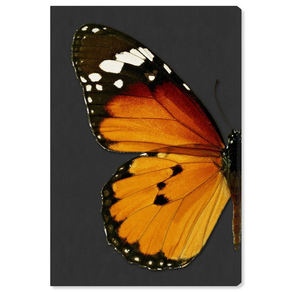 The Oliver Gal Artist Co. Animals Wall Art Canvas Prints 'Monarch and Gray Bu...