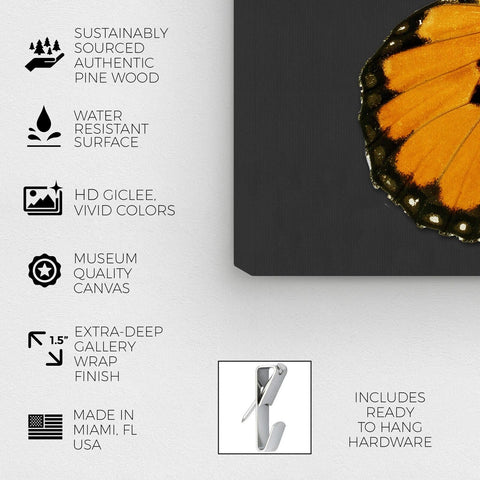 The Oliver Gal Artist Co. Animals Wall Art Canvas Prints 'Monarch and Gray Bu...