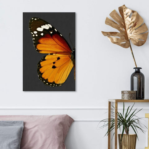 The Oliver Gal Artist Co. Animals Wall Art Canvas Prints 'Monarch and Gray Bu...