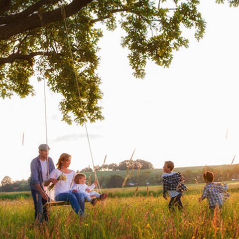 Wooden Swing Seat, Hanging Tree Swing for Adults Kids Outdoor Wood Swing Set ...