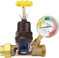 Apollo Valves 69ELF114TWG Water Pressure Regulator w/Gauge, No Size, Bronze