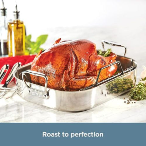 All-Clad Specialty Stainless Steel Roaster and Large,