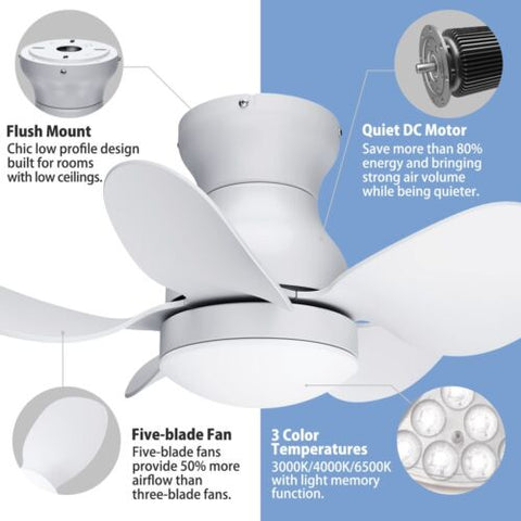 Regair Ceiling Fans with Lights, DC Motor 22 inch Flush Mount 22 inch, White