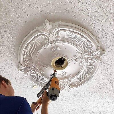 Ekena Millwork CM18RLPWS Riley Ceiling Medallion, 18"OD x 3 1/2"ID x 1 1/2"P,...