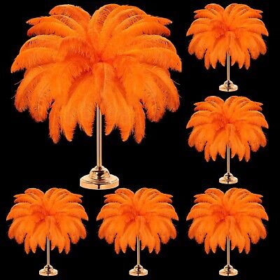 80 Pcs Large Natural Ostrich Feathers Plumes 14-16 Inch Bulk for DIY Crafts W...