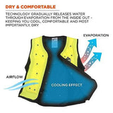 Ergodyne unisex adult - Premium Dry Evaporative Cooling Vest Zipper, Xxxx-lar...