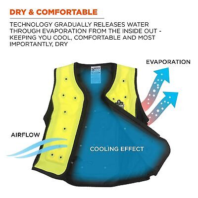 Ergodyne unisex adult - Premium Dry Evaporative Cooling Vest Zipper, Xxxx-lar...