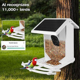 Bird Feeder with Camera,Solar Charging Panel Smart Bird Feeder,AI Recognition...