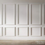 Ekena Millwork PNL12X20AS-02-CASE-12 Ashford Molded Scalloped Wainscot Wall P...