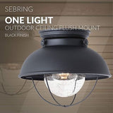 Sea Gull Lighting 8869-12 Sebring Transitional One-Light Outdoor Ceiling Flus...