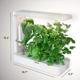 Ivation 11-Pod Indoor Hydroponics Growing System Kit with LED Grow Light, Her...