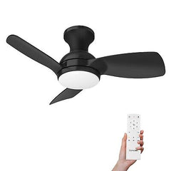 Consciot Ceiling Fan, 30 Inch Ceiling Fan With Lights Remote Control, Black L...