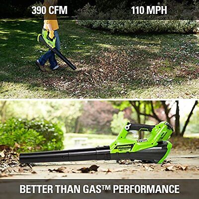 Greenworks 40V (110 MPH / 390 CFM) Cordless Blower (2.5Ah), (2.5Ah)