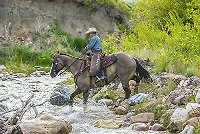 Weaver Leather Alpaca Straight Cinch 36" Roper