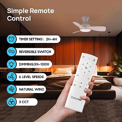 Consciot Ceiling Fan, 30 Inch Ceiling Fan With Lights Remote Control, White L...