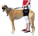 Dog Sling Hip Lift Harness, Tall Male fits Tall, Lean Dogs Like Greyhounds or...