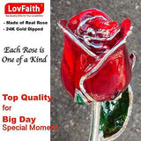 25th Anniversary Silver Trimmed Real Red Rose with Crystal Stand, Best Foreve...