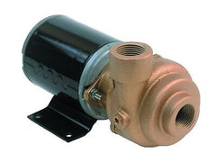 AMT Pump 4861-97 Marine Pump, Bronze, 1/8 HP, 12V DC TENV Marine Motor, 3/4" ...