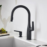 Rivana Pull-Down Kitchen Faucet 1.5 GPM, Matte Black