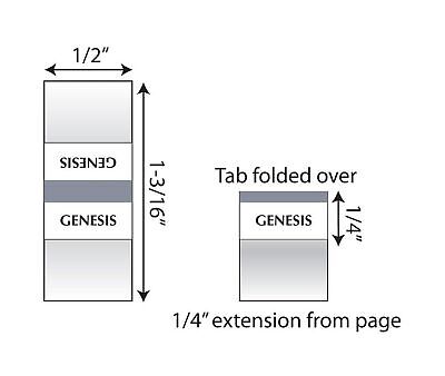 Tabbies 20 Pack with Display Mini Silver-Edged Bible Indexing Tabs, Old & New...