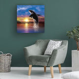 Trademark Fine Art 'Orca Sunrise' Canvas Art by Chris Dobrowolski 24x24