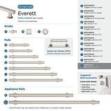 Amerock Corp BP37111G10 Everett 18 in (457 mm) Center-to-Center, Satin Nickel