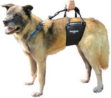 Dog Sling Hip Lift Harness, Tall Male fits Tall, Lean Dogs Like Greyhounds or...