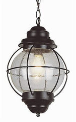 Trans Globe Lighting 69906 RBZ Outdoor Catalina 19" Hanging Lantern, Rustic B...