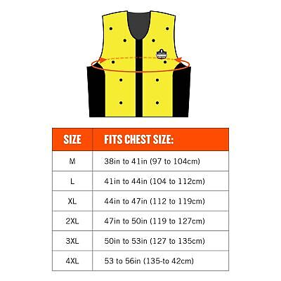 Ergodyne unisex adult - Premium Dry Evaporative Cooling Vest Zipper, Xxxx-lar...