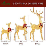 YULETIME 3-Piece Pre-lit 2.5D Christmas Reindeer Family, Lighted Glitter Chri...