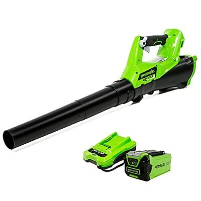 Greenworks 40V (110 MPH / 390 CFM) Cordless Blower (2.5Ah), (2.5Ah)