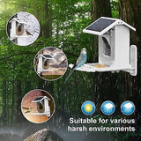 Smart Bird Feeder with Camera Solar Powered, Bird Watching Camera with AI Ide...