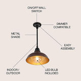 JONATHAN Y JYL7611G Jasper 12.25" 1-Light Farmhouse Industrial Indoor/Outdoor...