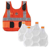 Ergodyne unisex adult + Premium FR Phase Change Cooling Vest Packs, Orange, S...