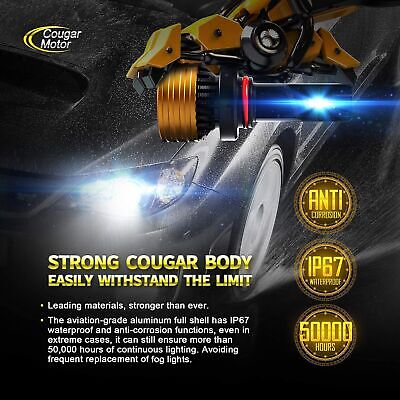 Cougar Motor 9005 HB3 Bulbs, 9005 HB3 Fog Light or Off-Road Bulbs, 6500K Xeno...