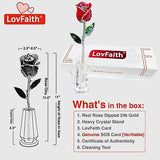 25th Anniversary Silver Trimmed Real Red Rose with Crystal Stand, Best Foreve...