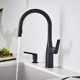 Rivana Pull-Down Kitchen Faucet 1.5 GPM, Matte Black