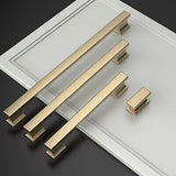 Asidrama 10 Pack 9 Inch(228mm) Brushed Brass Kitchen Cabinet Handles, Cabinet...