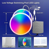 2 in 1 LED Pool Lights for above Ground Inground Pools-24W Double Light RGB U...