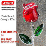 25th Anniversary Silver Trimmed Real Red Rose with Crystal Stand, Best Foreve...