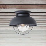 Sea Gull Lighting 8869-12 Sebring Transitional One-Light Outdoor Ceiling Flus...