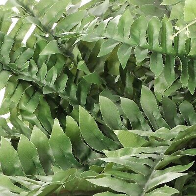 Artificial Boston Fern Plant with 60 Lifelike Green Silk Fronds | 48" Wide | ...