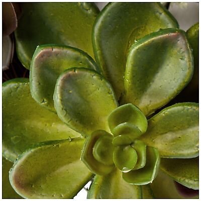 Nearly Natural 4798 Artificial Succulent Wreath, 15-inch diameter, Green,20x2...