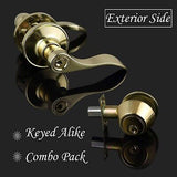 Keyed Alike Entrance Lock Lever Combo Set,3 Set Entry Lever with Single Cylin...