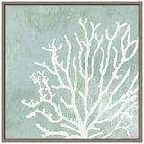 Amanti Art Framed Canvas Wall Art Print Sea Crown II (Coral) by Aimee Wilson ...