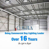 High Bay LED Lights, High Bay Led Shop Lights for Warehouse Barn Factory, 500...