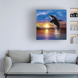 Trademark Fine Art 'Orca Sunrise' Canvas Art by Chris Dobrowolski 24x24