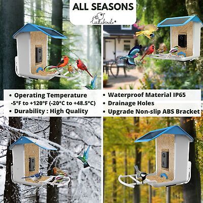 Bird Feeder with Camera. Smart Bird Feeder with Camera Wireless Outdoor. Came...